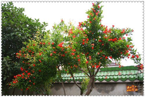 ��Ƭ 042_����.jpg