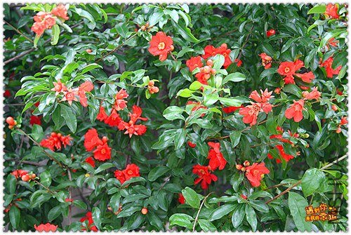 ��Ƭ 047_����.jpg