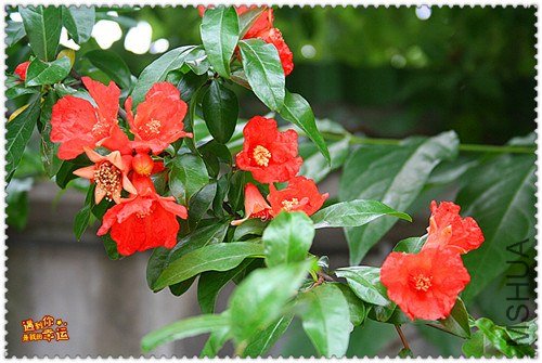 ��Ƭ 050_����.jpg