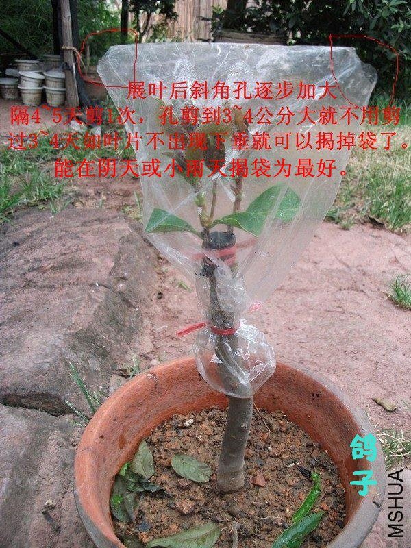 DSCF6507_����_����_����_����.jpg