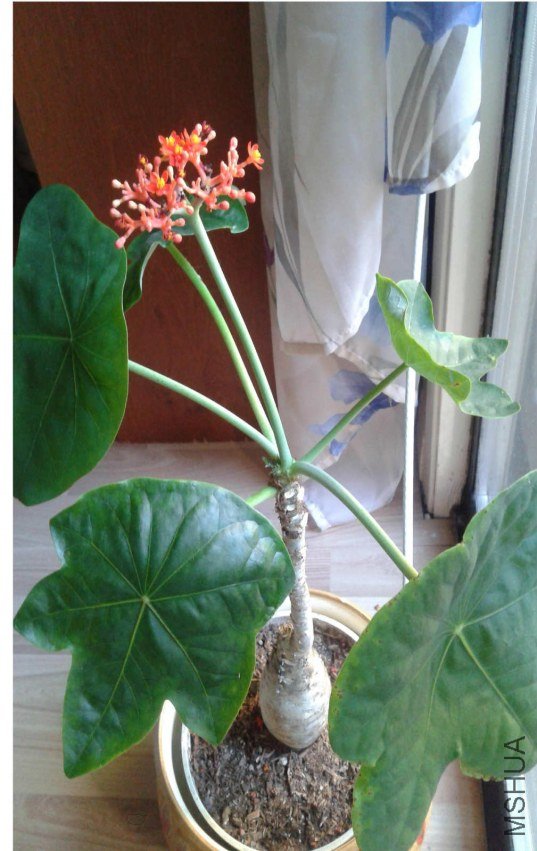 2013-07-17 18_meitu_1.jpg