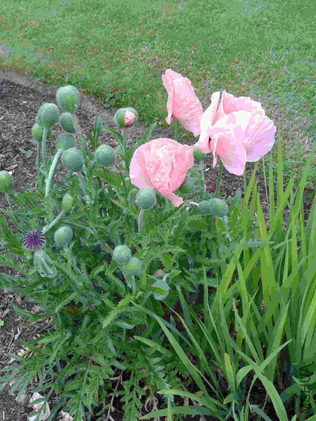 2013-06-08 19.32.00.jpg