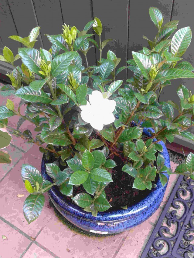 2013-07-08 16.45.30.jpg