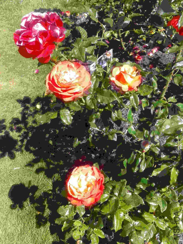 2013-07-17 14.49.44.jpg