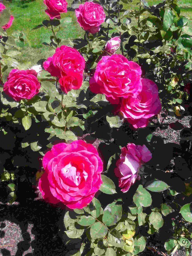 2013-07-17 14.50.42.jpg