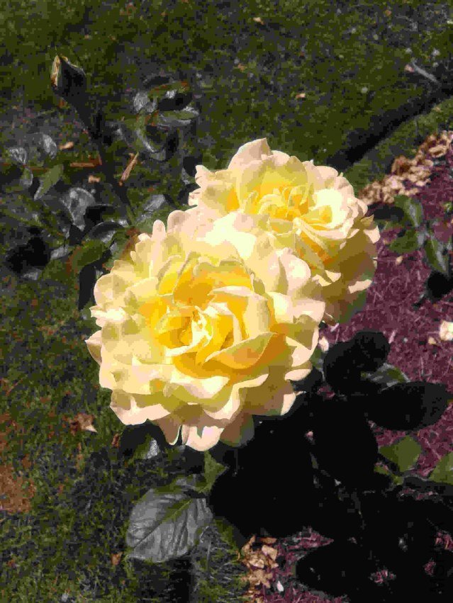 2013-07-17 14.51.13.jpg