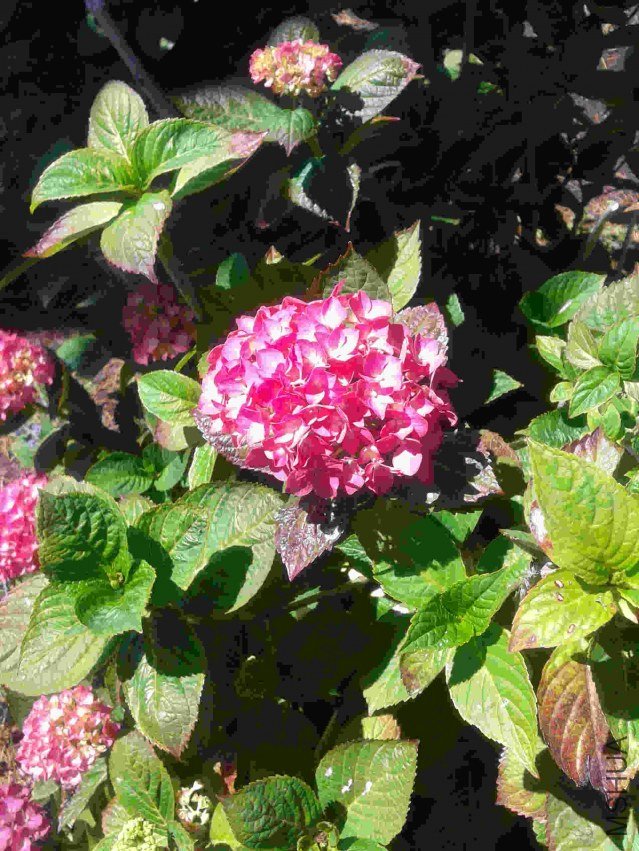 2013-07-17 14.54.55.jpg