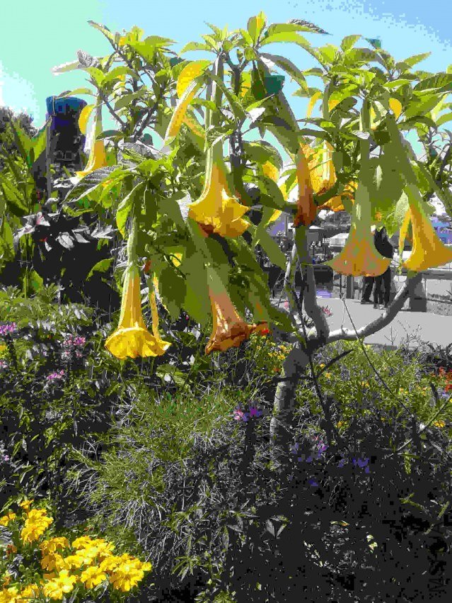 2013-07-17 14.57.25.jpg