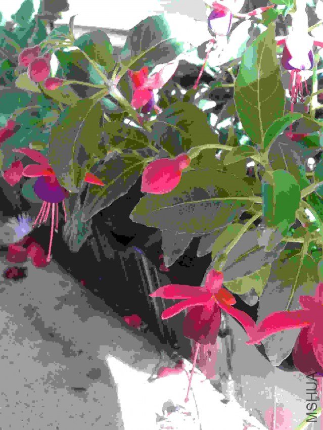 2013-07-17 18.31.20.jpg