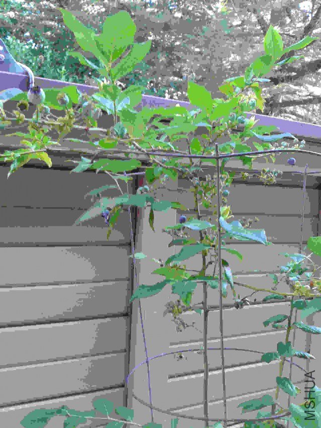 2013-07-17 18.34.29.jpg