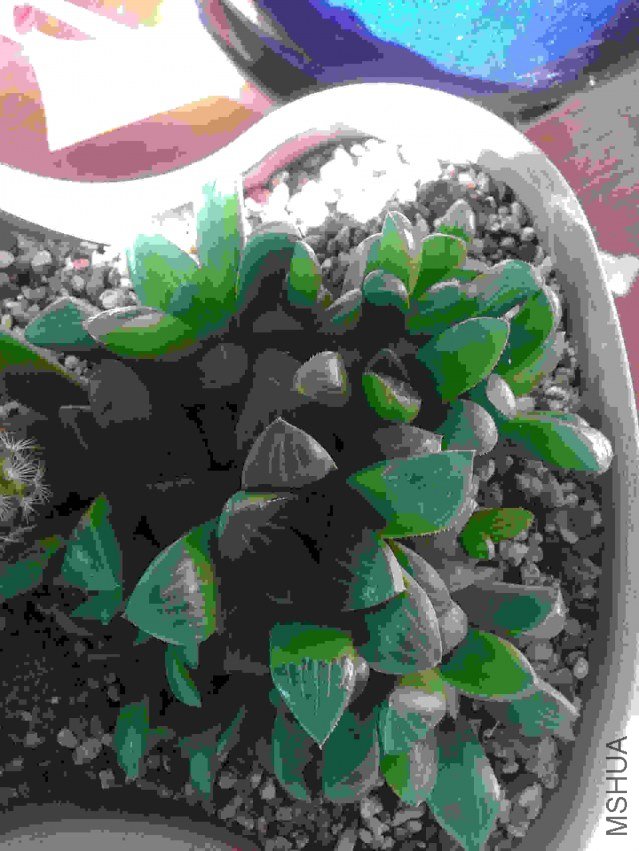 2013-07-17 18.37.31.jpg