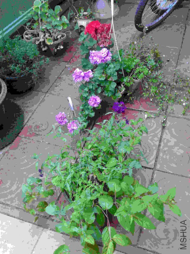 2013-07-17 19.08.26.jpg
