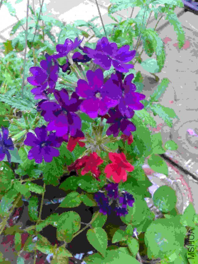2013-07-17 19.08.57.jpg