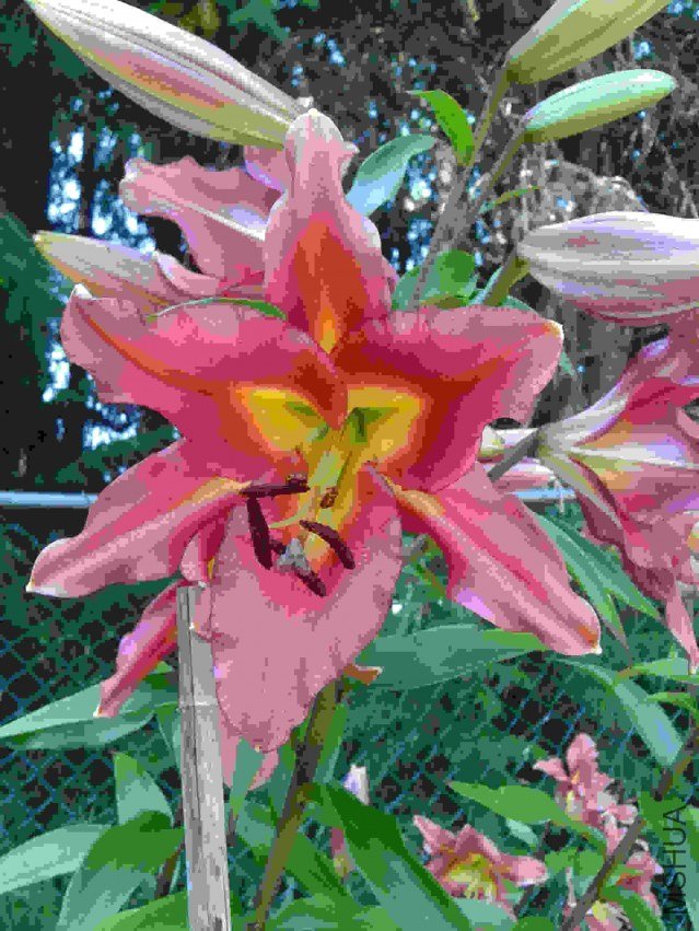 2013-07-18 15.35.14.jpg
