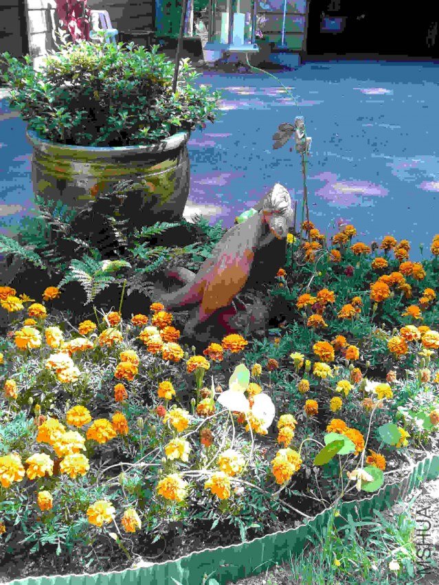 2013-07-18 15.39.14.jpg