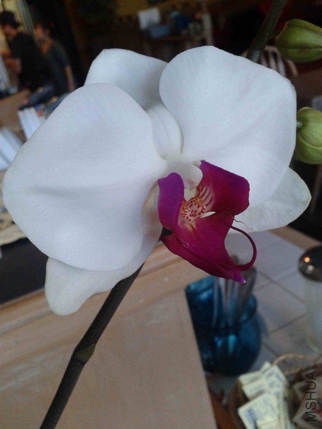 2013-07-18 11.11.14.jpg