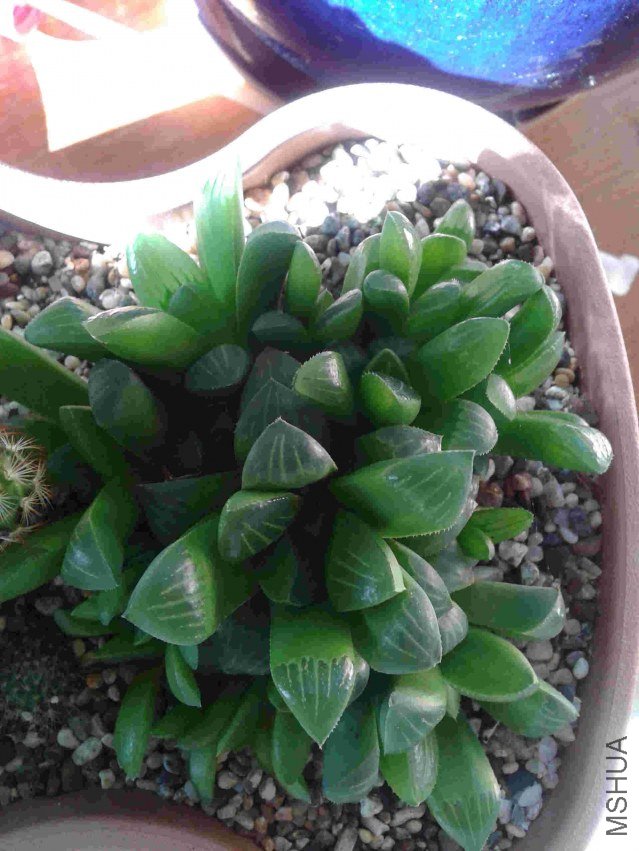 2013-07-17 18.37.31.jpg