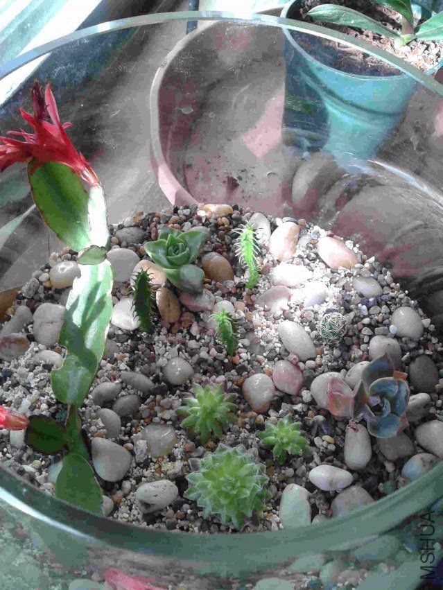 2013-07-17 18.42.41.jpg