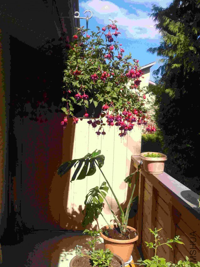 2013-06-08 16.38.33.jpg