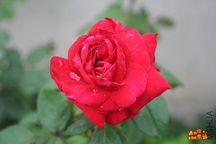 ��Ƭ 011_����.jpg