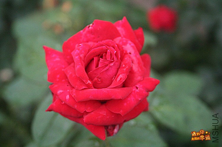 ��Ƭ 012_����.jpg