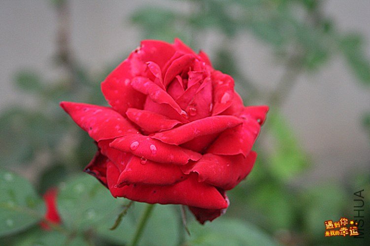 ��Ƭ 013_����.jpg