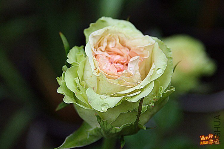 ��Ƭ 032_����.jpg