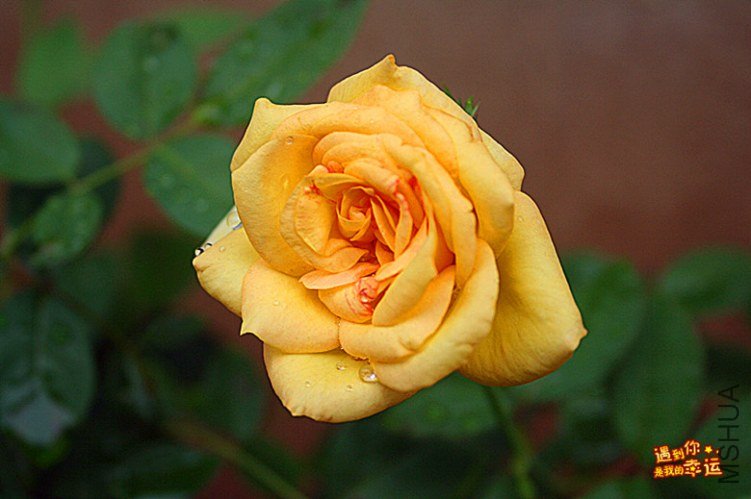 ��Ƭ 060_����.jpg