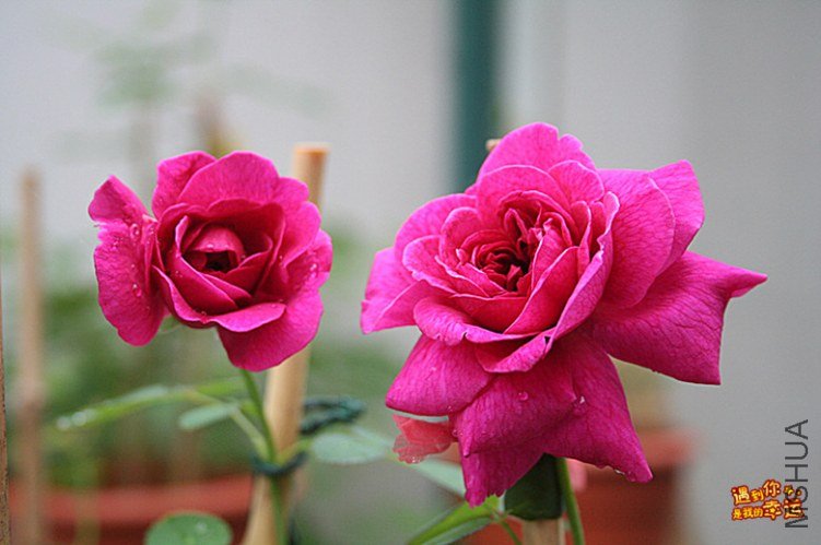 ��Ƭ 064_����.jpg