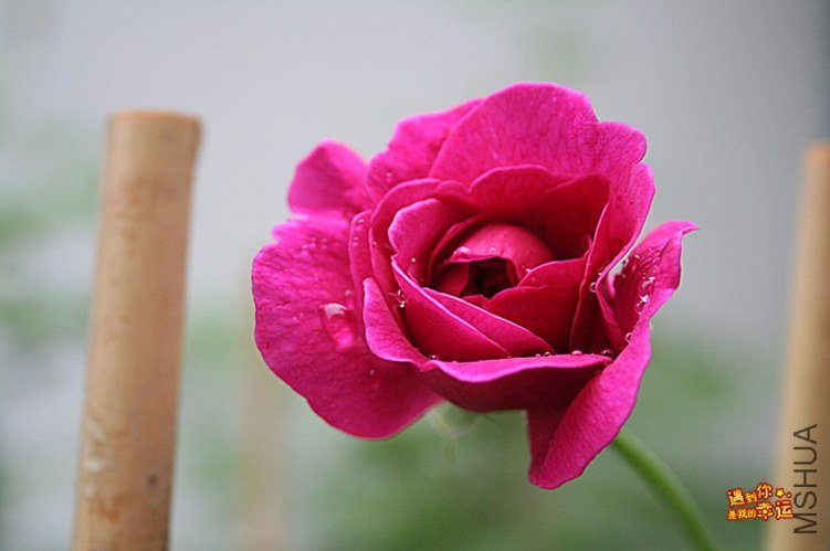 ��Ƭ 065_����.jpg