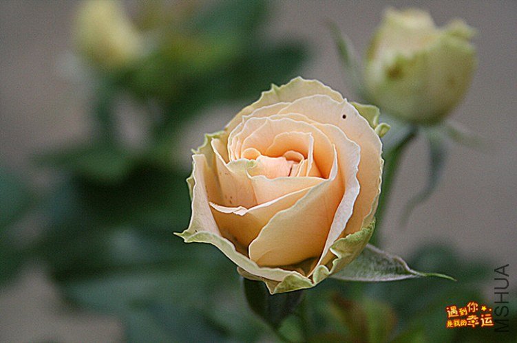 ��Ƭ 094_����.jpg