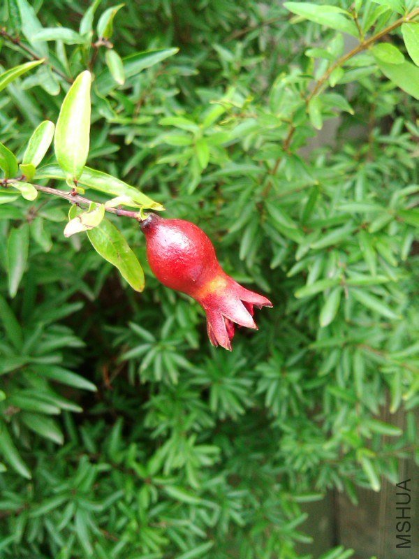 IMG_20130721_070231.jpg