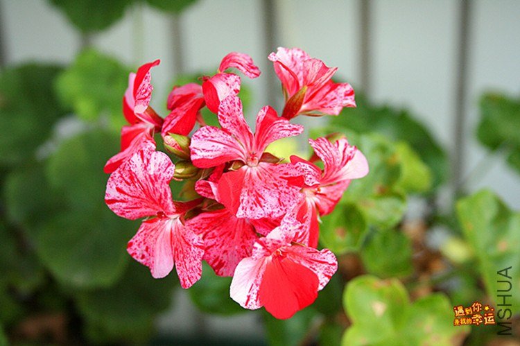 ��Ƭ 001_����.jpg