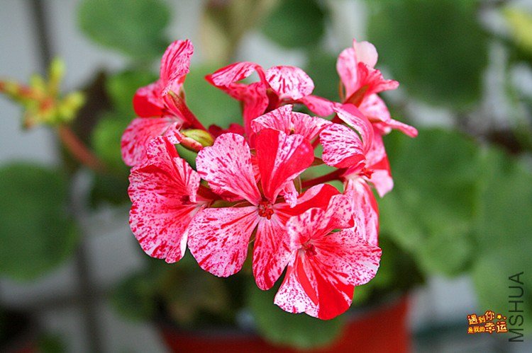 ��Ƭ 002_����.jpg