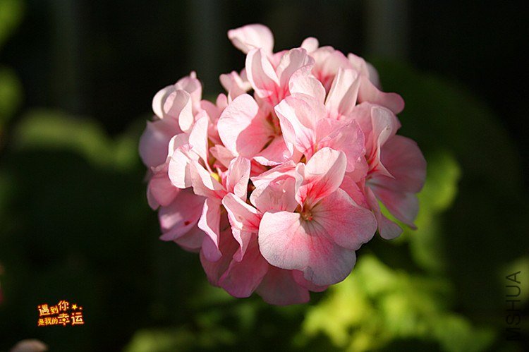 ��Ƭ 003_����.jpg