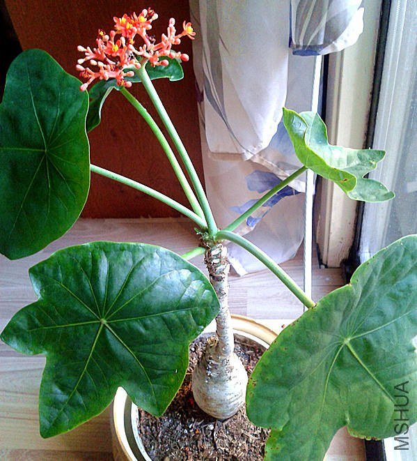 2013-07-17 18.33.53_����.jpg