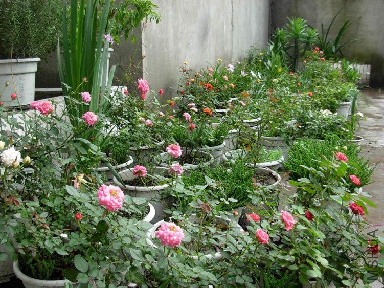 DSCN3263g.JPG