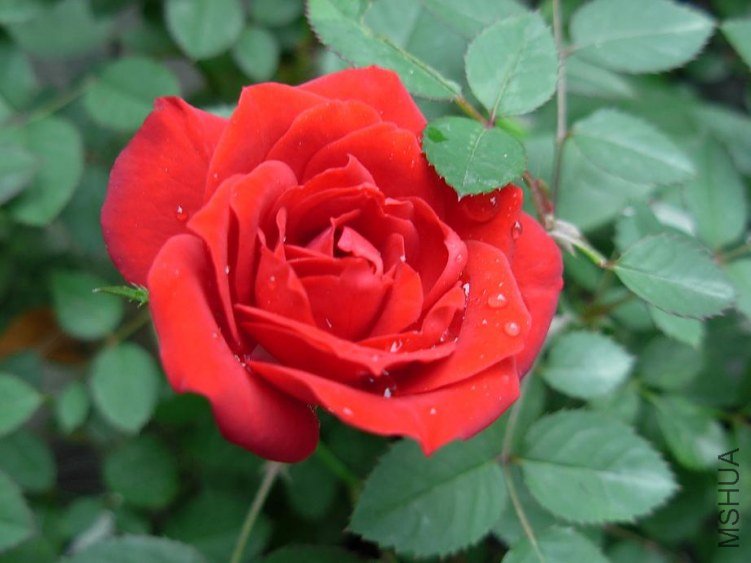 DSCN3305g.JPG