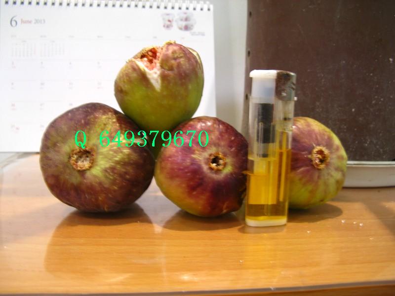 psb4.jpg
