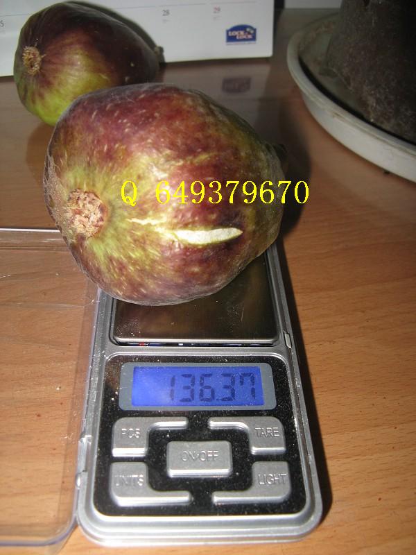 psb7.jpg