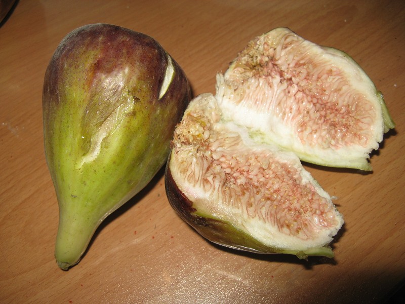 psb6.jpg