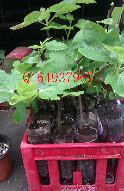 QQͼƬ20130722100853.jpg