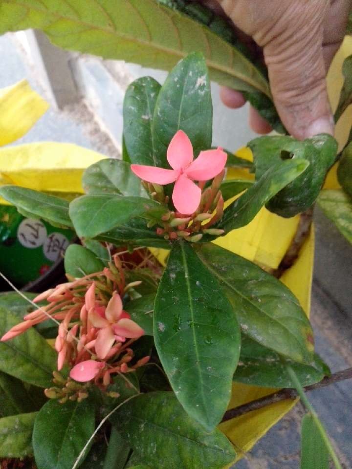 QQͼƬ20130722112357.jpg