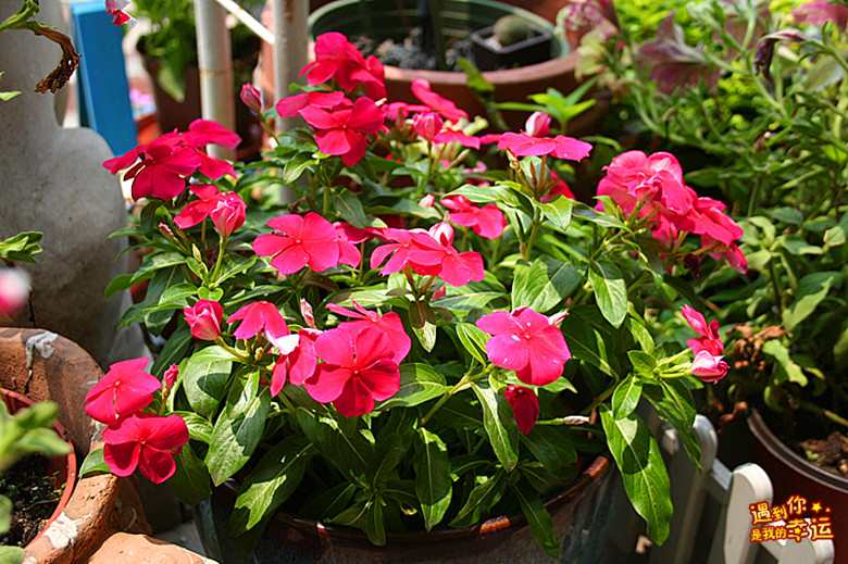 ��Ƭ 021_����.jpg