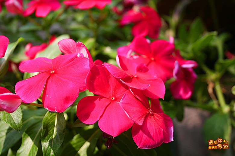 ��Ƭ 022_����.jpg