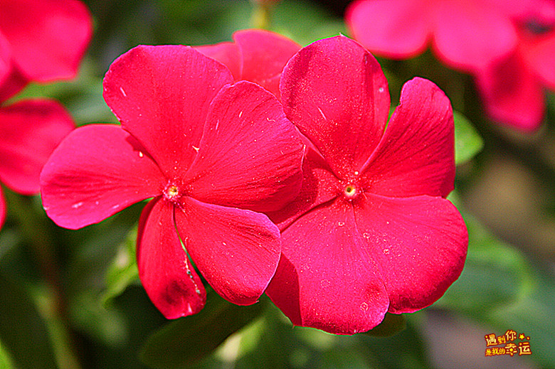 ��Ƭ 024_����.jpg