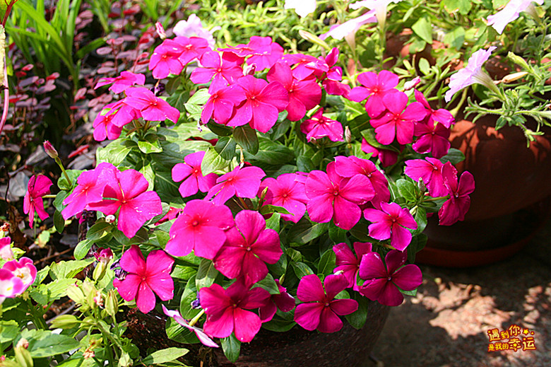 ��Ƭ 026_����.jpg