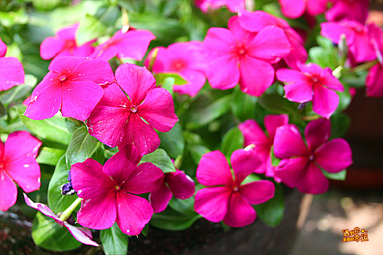 ��Ƭ 029_����.jpg