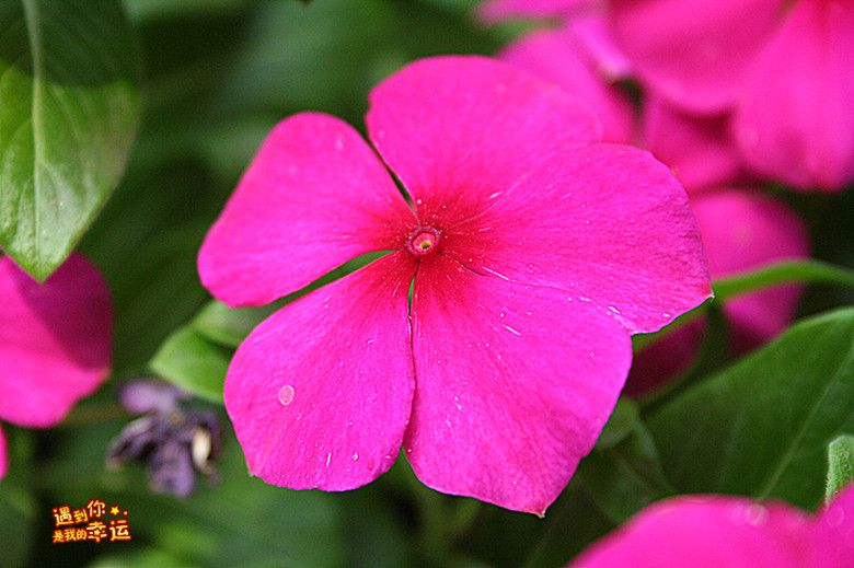 ��Ƭ 030_����.jpg