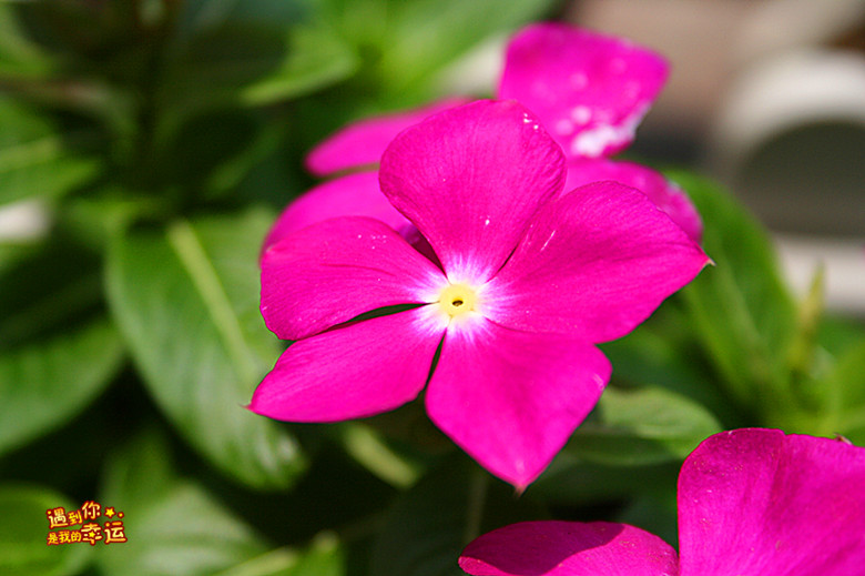 ��Ƭ 034_����.jpg